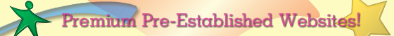 Established Website Business