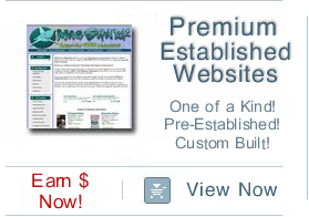 Premium Pre-Established Website Business